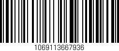 Código de barras (EAN, GTIN, SKU, ISBN): '1069113667936'