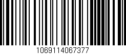 Código de barras (EAN, GTIN, SKU, ISBN): '1069114067377'