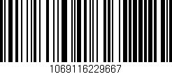 Código de barras (EAN, GTIN, SKU, ISBN): '1069116229667'