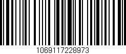 Código de barras (EAN, GTIN, SKU, ISBN): '1069117228973'