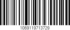 Código de barras (EAN, GTIN, SKU, ISBN): '1069119713729'