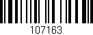 Código de barras (EAN, GTIN, SKU, ISBN): '107163'