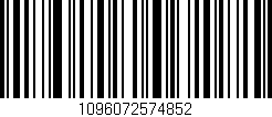 Código de barras (EAN, GTIN, SKU, ISBN): '1096072574852'