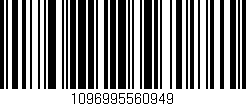 Código de barras (EAN, GTIN, SKU, ISBN): '1096995560949'