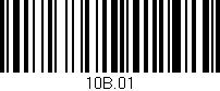 Código de barras (EAN, GTIN, SKU, ISBN): '10B.01'