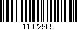 Código de barras (EAN, GTIN, SKU, ISBN): '11022905'