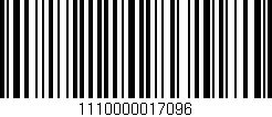 Código de barras (EAN, GTIN, SKU, ISBN): '1110000017096'