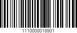 Código de barras (EAN, GTIN, SKU, ISBN): '1110000018901'