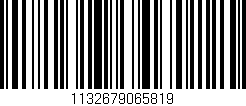 Código de barras (EAN, GTIN, SKU, ISBN): '1132679065819'