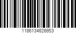 Código de barras (EAN, GTIN, SKU, ISBN): '1186134828853'