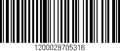 Código de barras (EAN, GTIN, SKU, ISBN): '1200029705316'