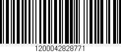 Código de barras (EAN, GTIN, SKU, ISBN): '1200042828771'