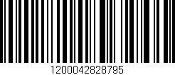 Código de barras (EAN, GTIN, SKU, ISBN): '1200042828795'