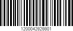 Código de barras (EAN, GTIN, SKU, ISBN): '1200042828801'