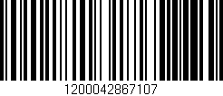 Código de barras (EAN, GTIN, SKU, ISBN): '1200042867107'