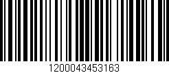 Código de barras (EAN, GTIN, SKU, ISBN): '1200043453163'