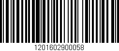 Código de barras (EAN, GTIN, SKU, ISBN): '1201602900058'
