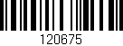 Código de barras (EAN, GTIN, SKU, ISBN): '120675'