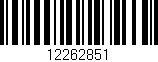 Código de barras (EAN, GTIN, SKU, ISBN): '12262851'