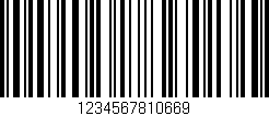 Código de barras (EAN, GTIN, SKU, ISBN): '1234567810669'