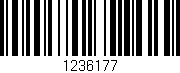Código de barras (EAN, GTIN, SKU, ISBN): '1236177'