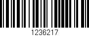 Código de barras (EAN, GTIN, SKU, ISBN): '1236217'