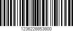Código de barras (EAN, GTIN, SKU, ISBN): '1236228853800'
