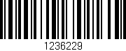 Código de barras (EAN, GTIN, SKU, ISBN): '1236229'
