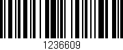 Código de barras (EAN, GTIN, SKU, ISBN): '1236609'
