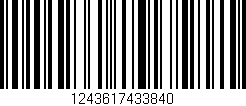 Código de barras (EAN, GTIN, SKU, ISBN): '1243617433840'