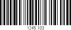 Código de barras (EAN, GTIN, SKU, ISBN): '1245.103'