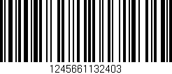 Código de barras (EAN, GTIN, SKU, ISBN): '1245661132403'