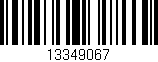 Código de barras (EAN, GTIN, SKU, ISBN): '13349067'