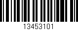 Código de barras (EAN, GTIN, SKU, ISBN): '13453101'