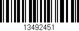Código de barras (EAN, GTIN, SKU, ISBN): '13492451'