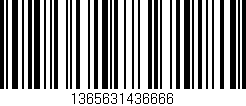 Código de barras (EAN, GTIN, SKU, ISBN): '1365631436666'