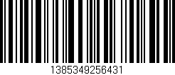 Código de barras (EAN, GTIN, SKU, ISBN): '1385349256431'