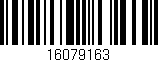 Código de barras (EAN, GTIN, SKU, ISBN): '16079163'