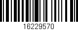 Código de barras (EAN, GTIN, SKU, ISBN): '16229570'