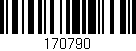 Código de barras (EAN, GTIN, SKU, ISBN): '170790'