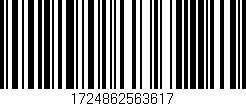 Código de barras (EAN, GTIN, SKU, ISBN): '1724862563617'