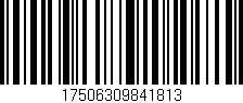 Código de barras (EAN, GTIN, SKU, ISBN): '17506309841813'
