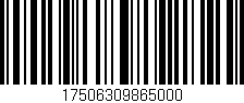 Código de barras (EAN, GTIN, SKU, ISBN): '17506309865000'