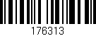 Código de barras (EAN, GTIN, SKU, ISBN): '176313'