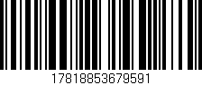 Código de barras (EAN, GTIN, SKU, ISBN): '17818853679591'