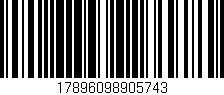 Código de barras (EAN, GTIN, SKU, ISBN): '17896098905743'