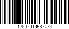 Código de barras (EAN, GTIN, SKU, ISBN): '17897013567473'
