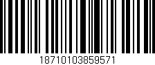 Código de barras (EAN, GTIN, SKU, ISBN): '18710103859571'