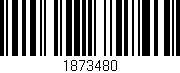 Código de barras (EAN, GTIN, SKU, ISBN): '1873480'