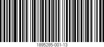 Código de barras (EAN, GTIN, SKU, ISBN): '1895285-001-13'